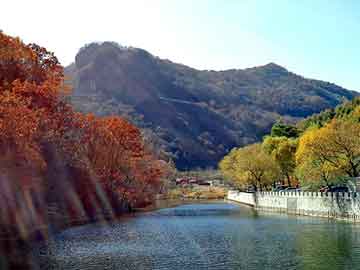 管家婆黑白马报图库，驭晶卡师